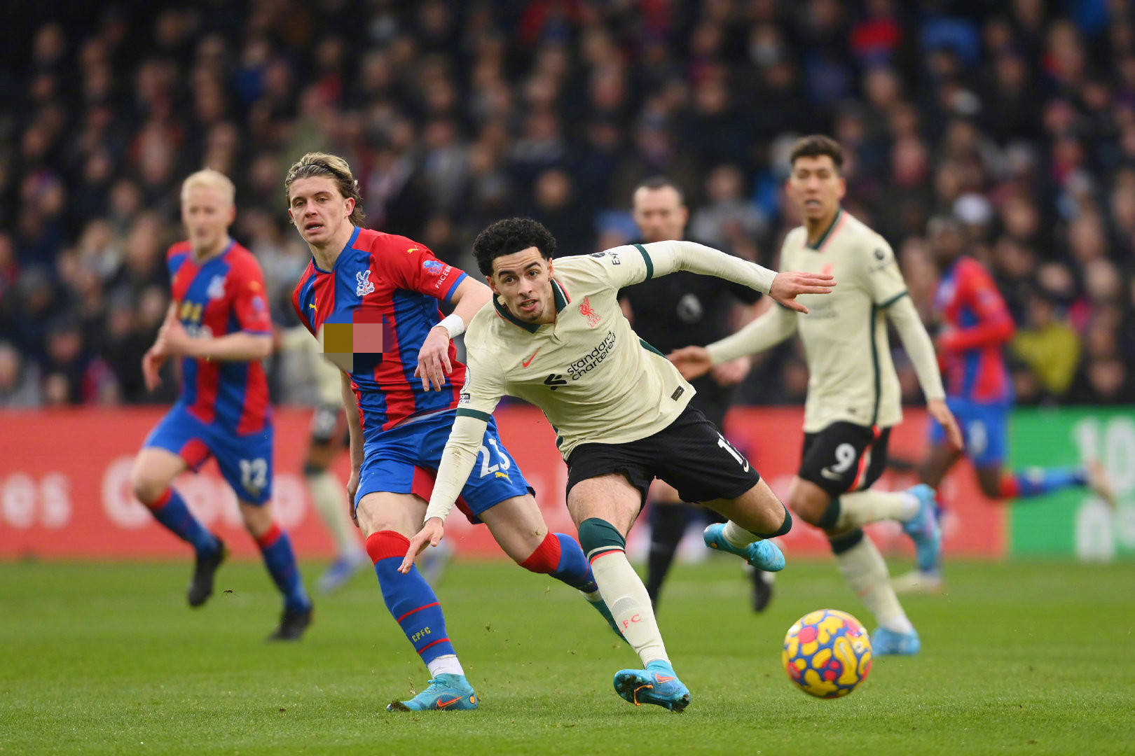 盼望她在未 盼望她在未